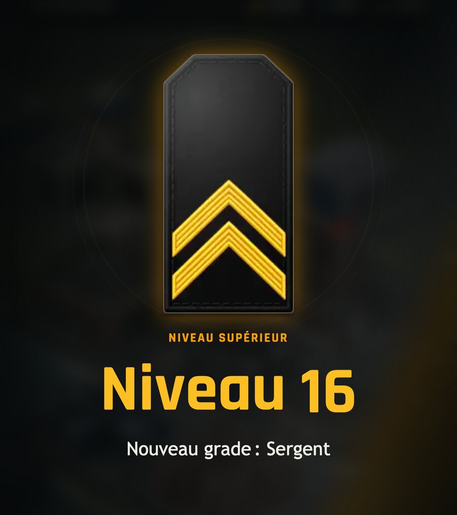 L'écran de passage au niveau 16, avec l'épaulette de sergent et « Nouveau grade : Sergent »